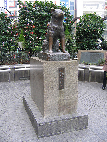 monumento de Hachiko en Shibuya